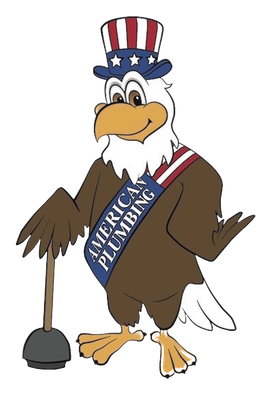 A bald eagle is wearing an american plumbing sash and holding a plunger.