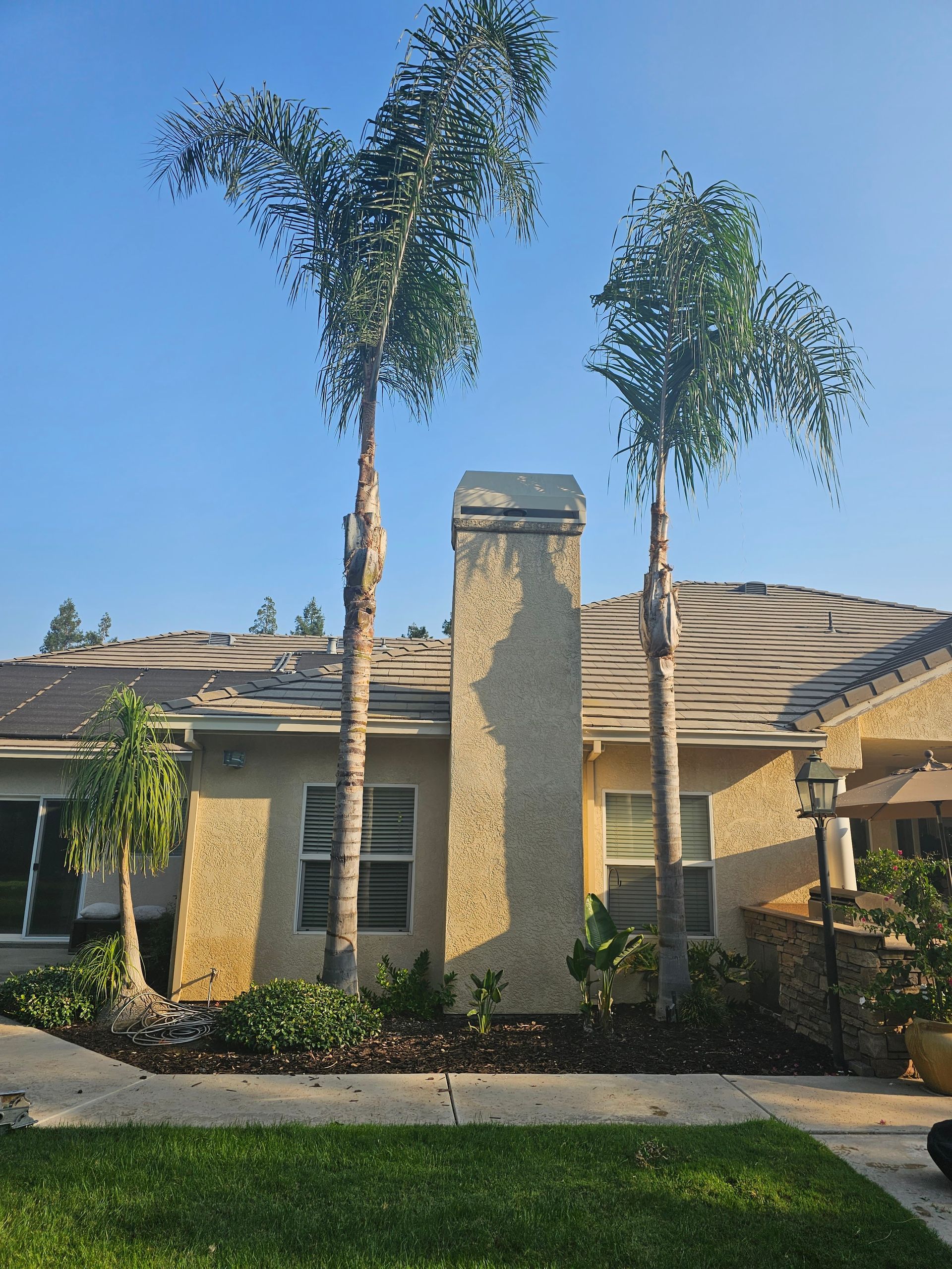 A house with two palm trees in front of it