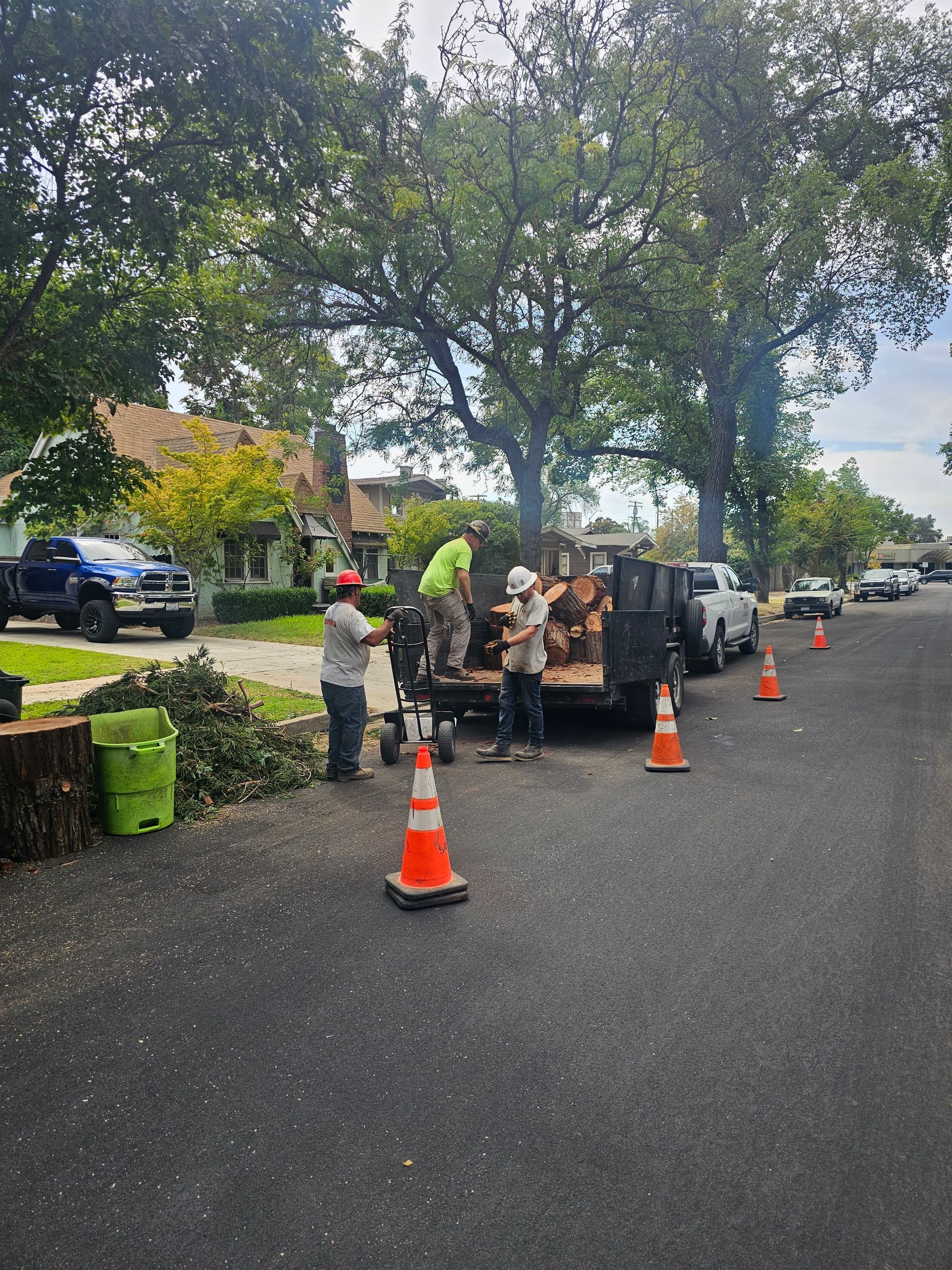 A group of people are working on a tree in a driveway.