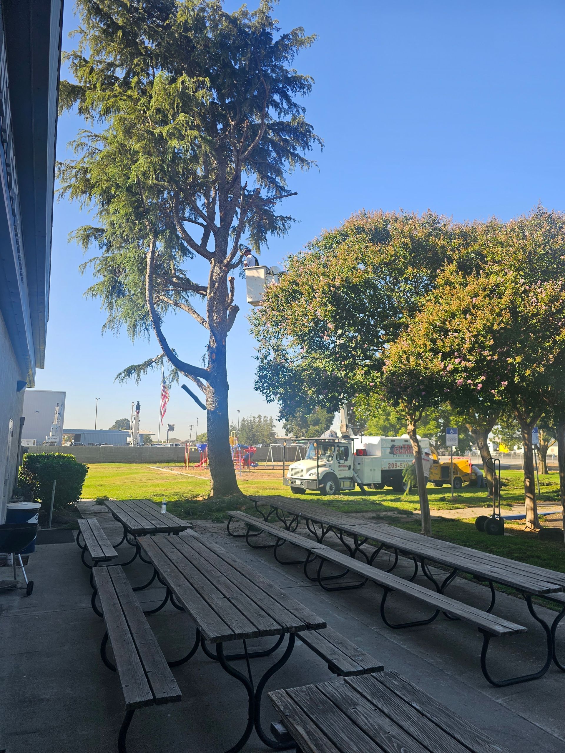 A row of wooden picnic tables in a park