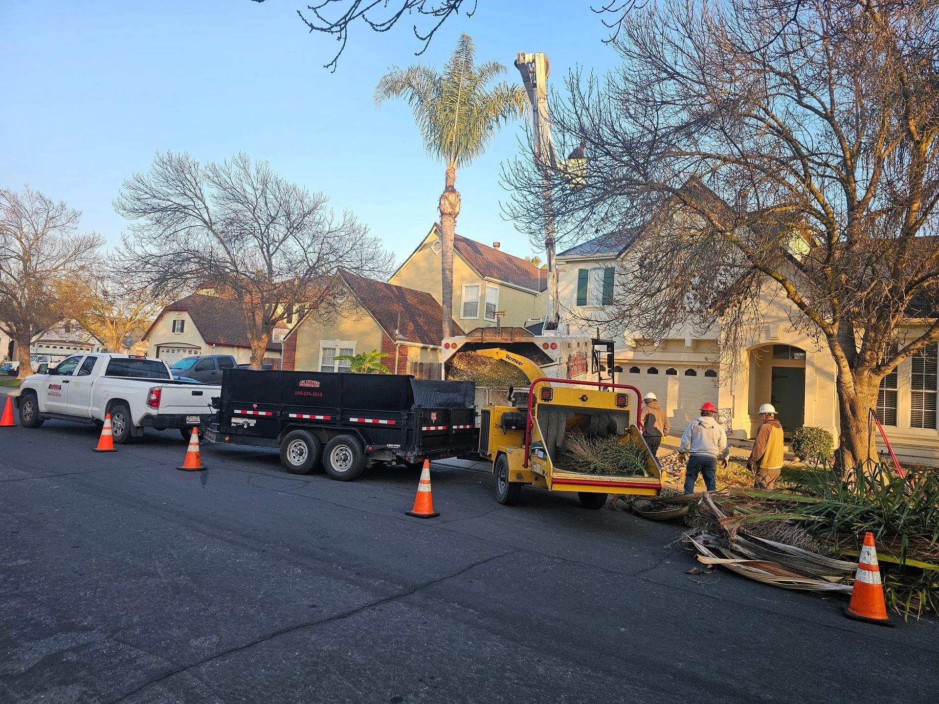A tree is being cut down in front of a house