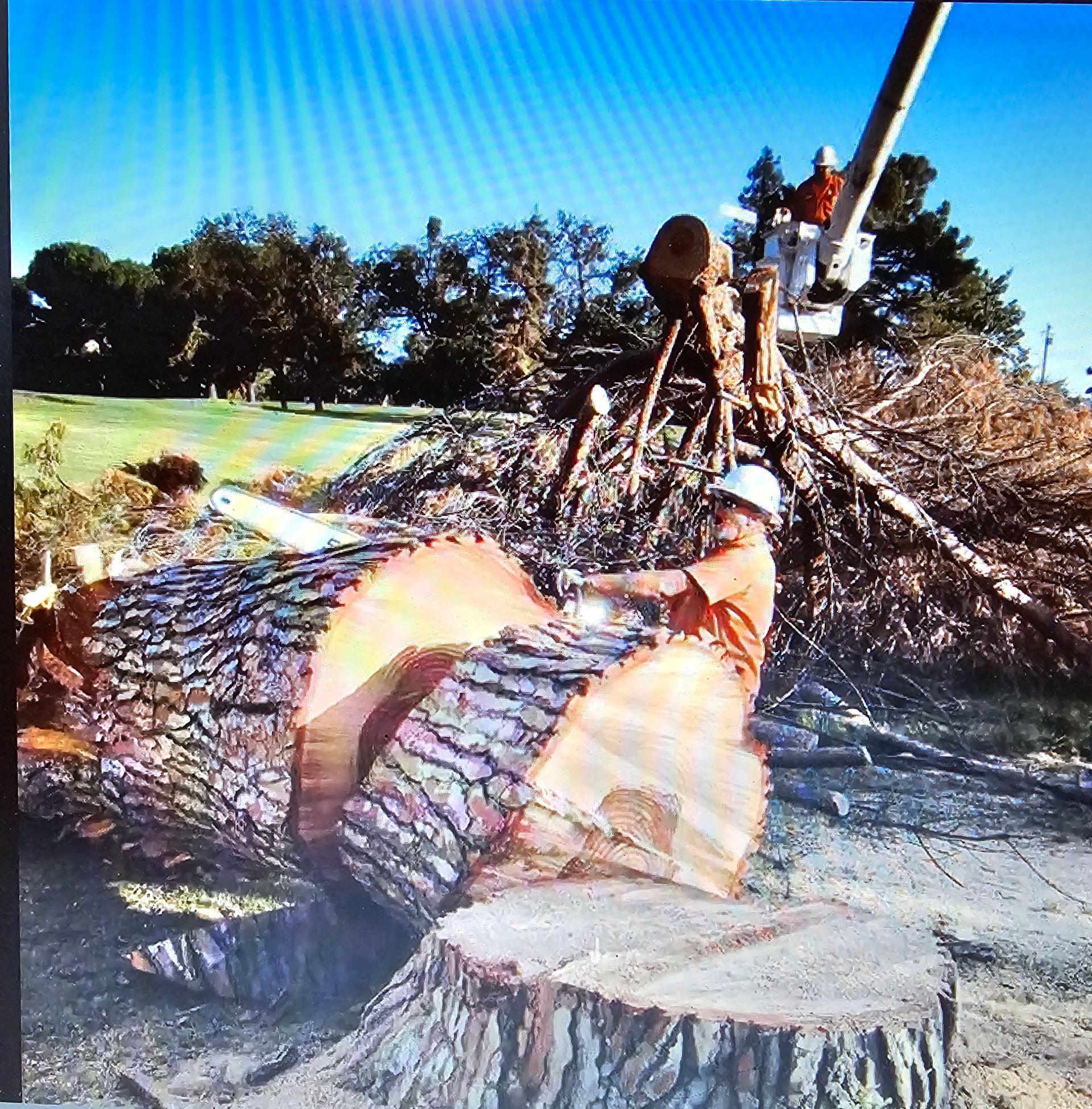 A man in a crane is cutting down a tree