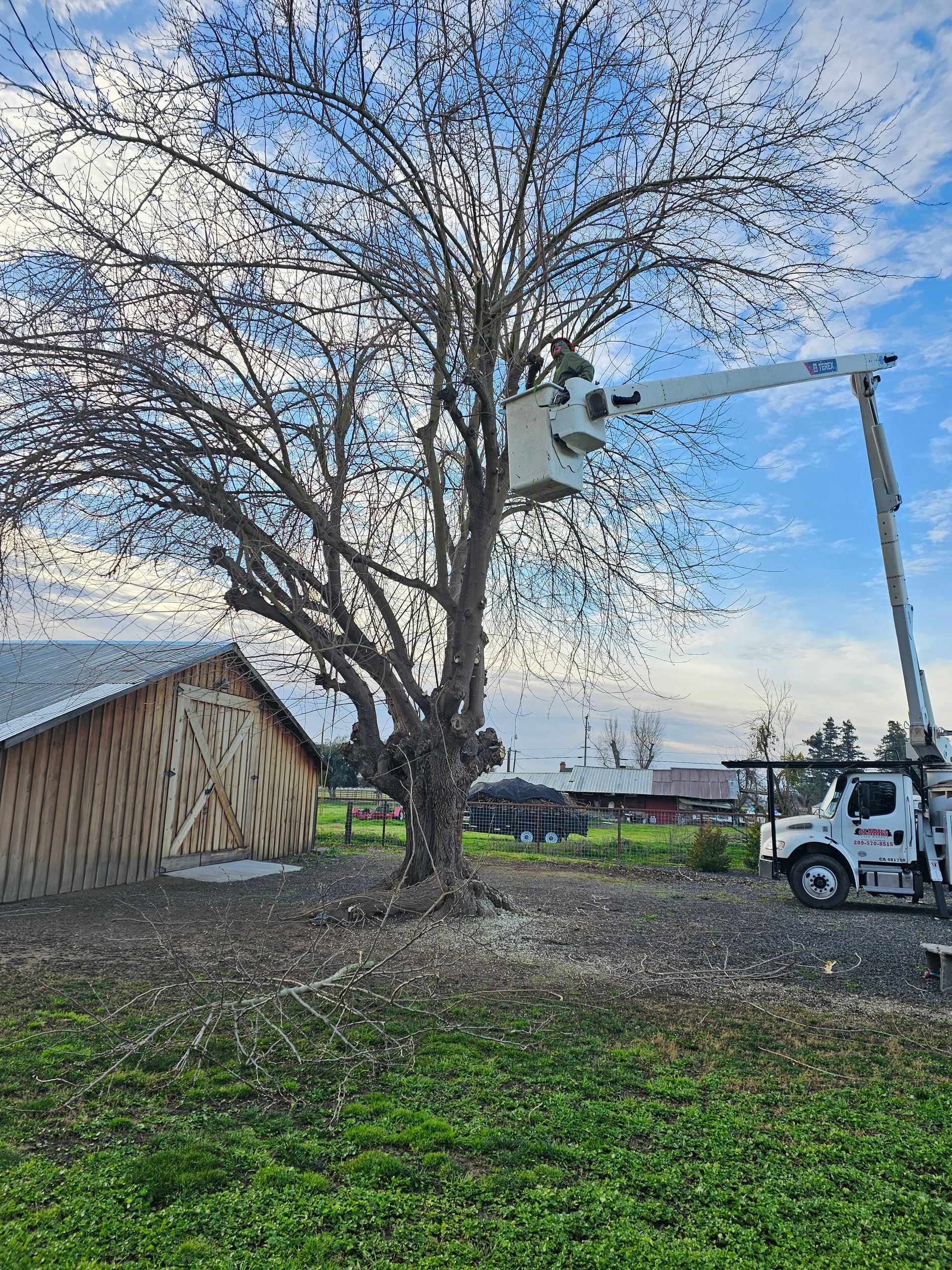 A man is cutting a tree with a crane in front of a barn.