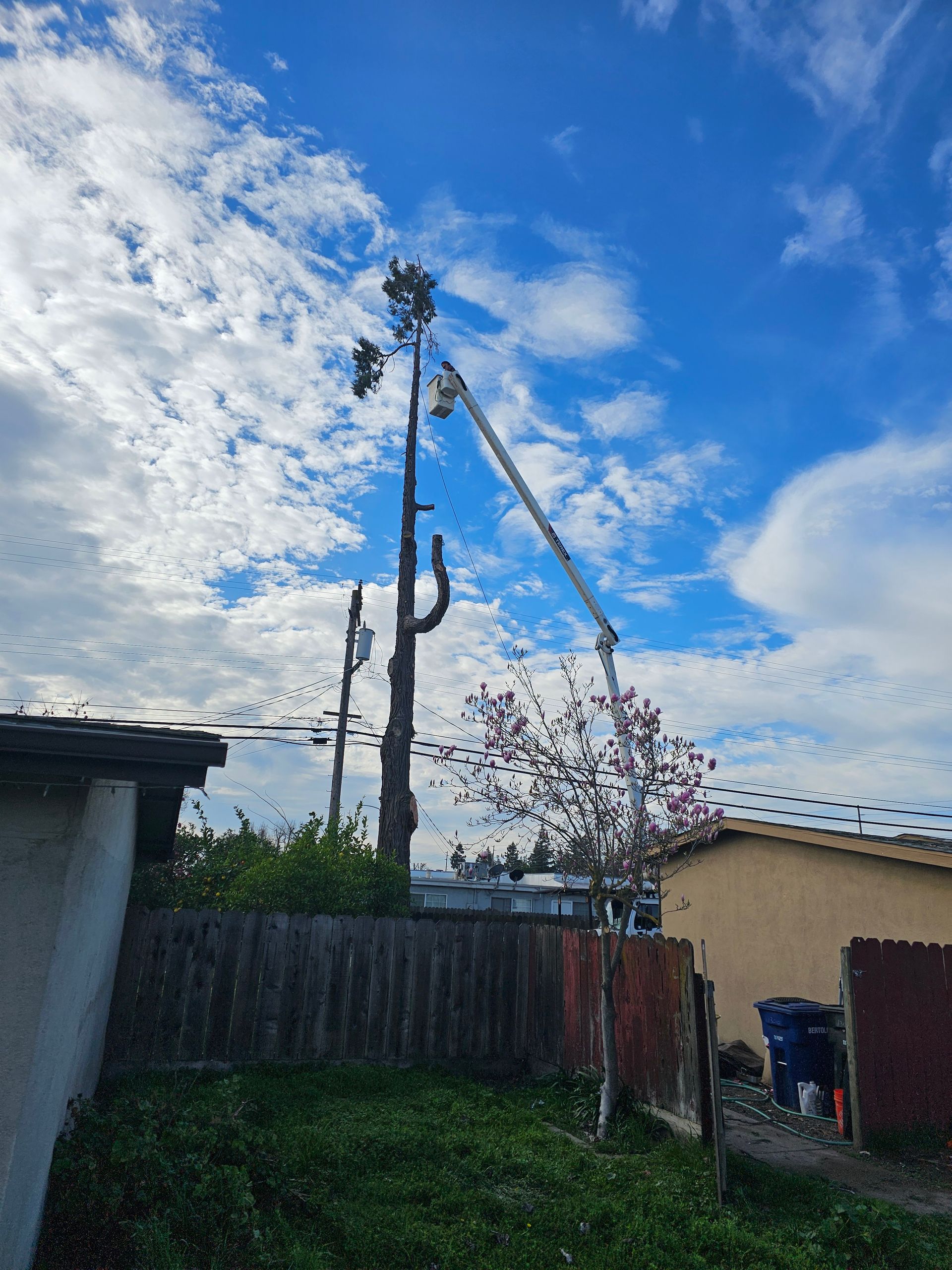 A man is cutting a tree with a crane in a backyard.