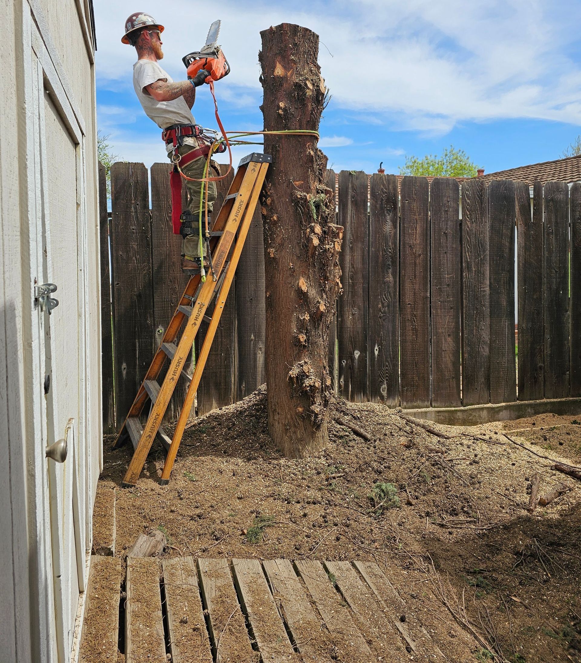 A man on a ladder cutting a tree stump with a chainsaw