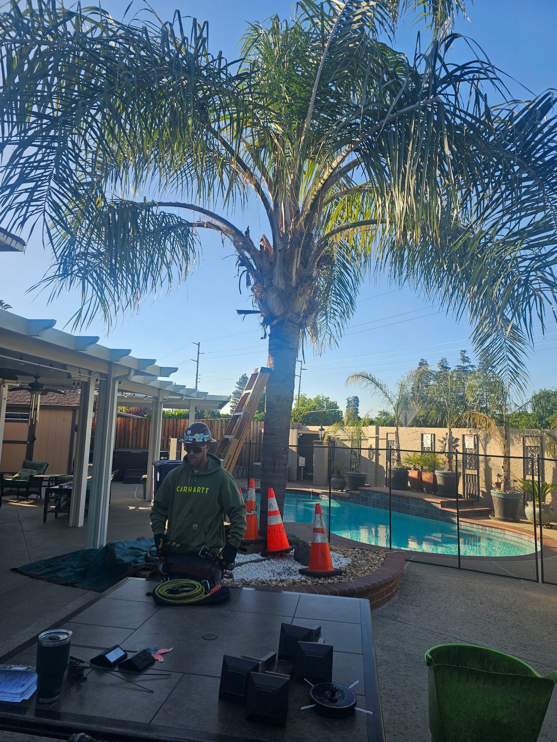 A man is standing under a palm tree next to a pool.