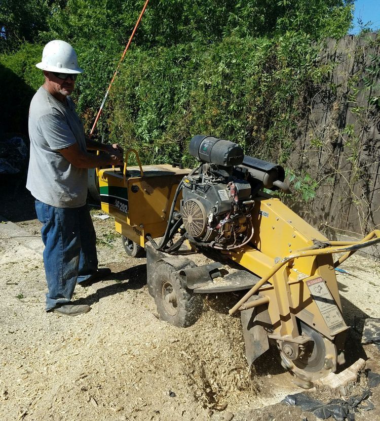 A man wearing a hard hat is standing next to a stump grinder