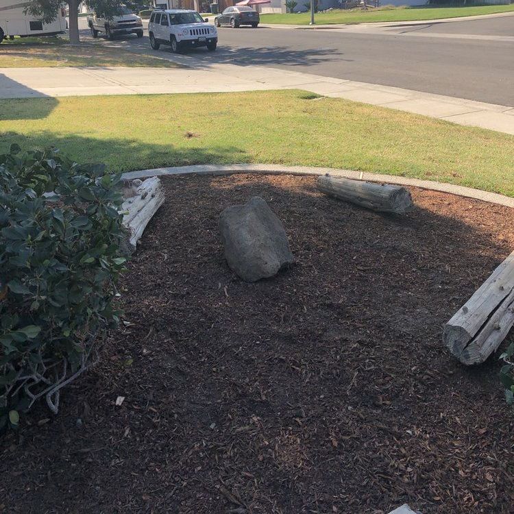 A wooden log is sitting in the middle of a pile of mulch.