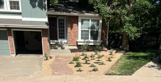 Person drawing on landscape design plan, surrounded by potted plants and office supplies.