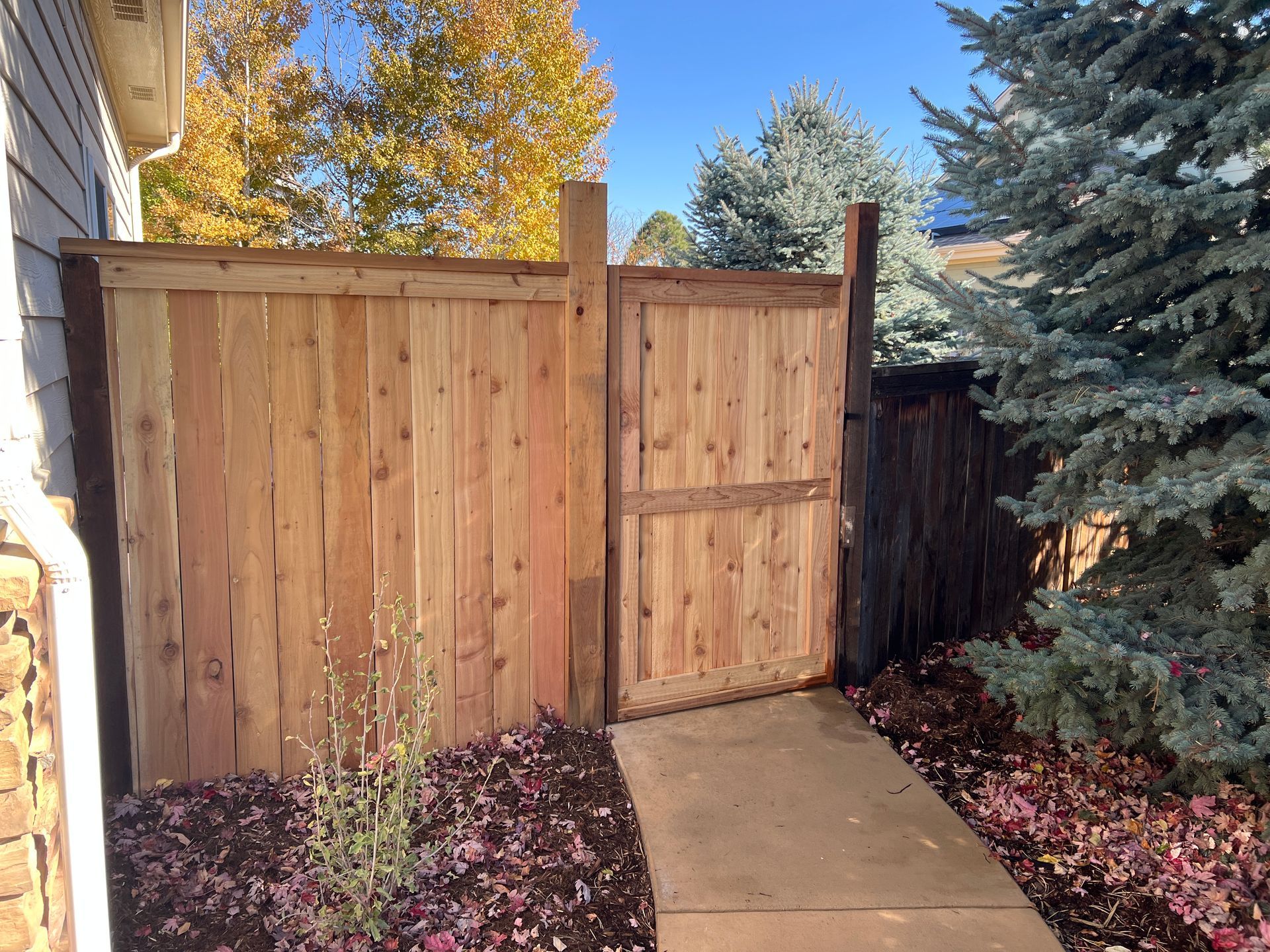Wooden fence with a gate, next to a paved pathway. Brown leaves and evergreens.