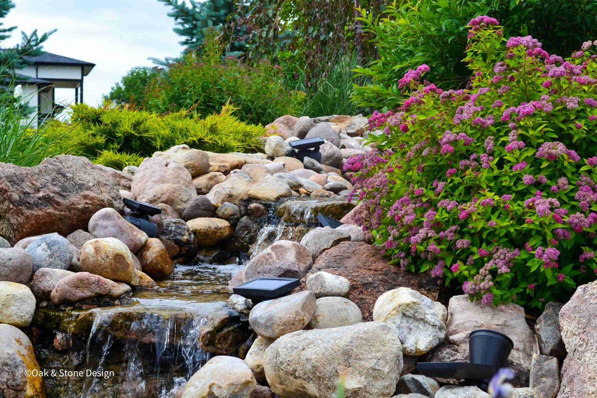 A small cascading waterfall flows over rocks in a lush garden, surrounded by greenery and pink flowering bushes.