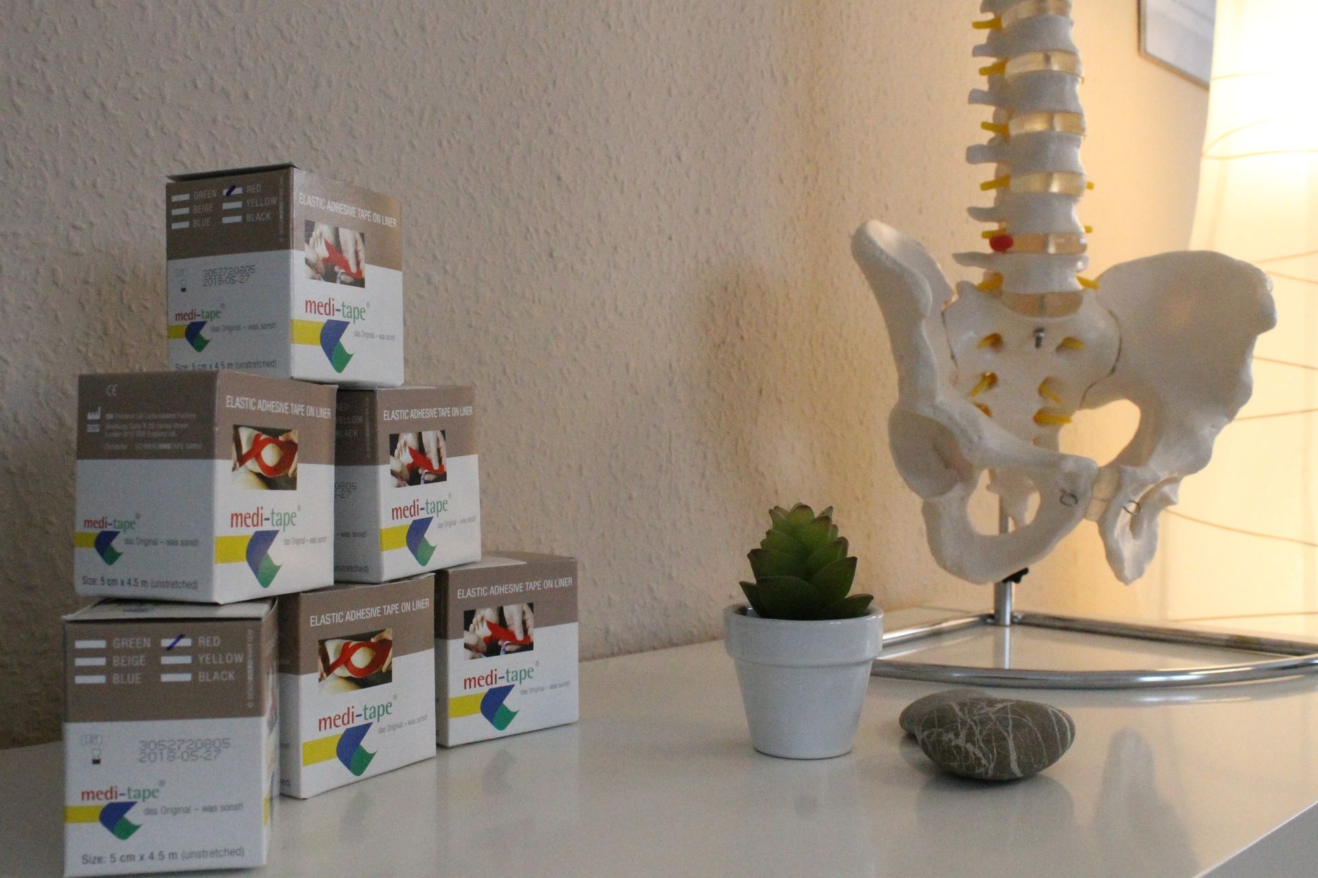 Ein Stapel Kisten steht auf einem Tisch neben einem Modell einer Wirbelsäule und eines Beckens