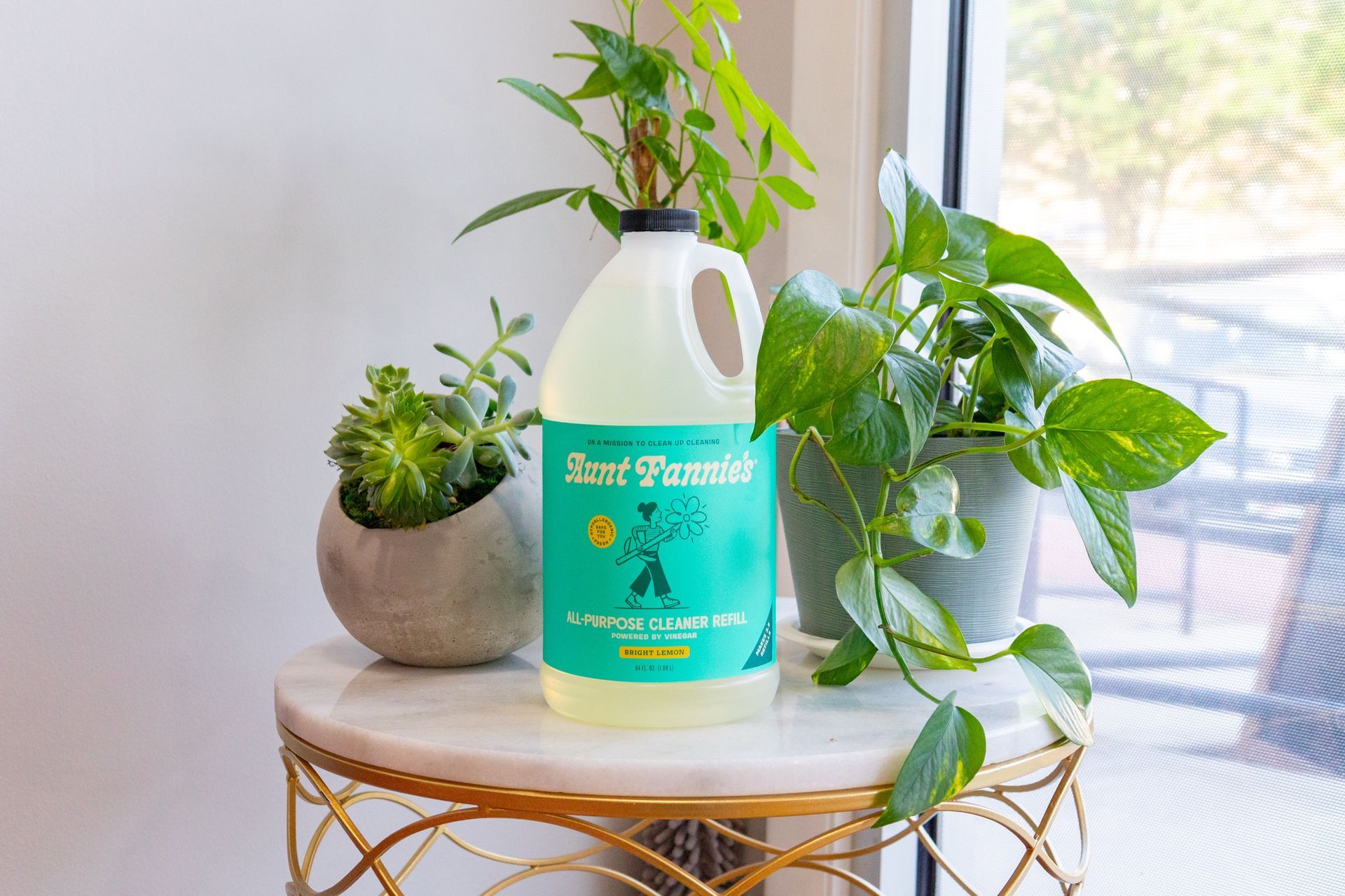 Aunt Fannie’s floor cleaner bottle next to three green houseplants in a bright home setting