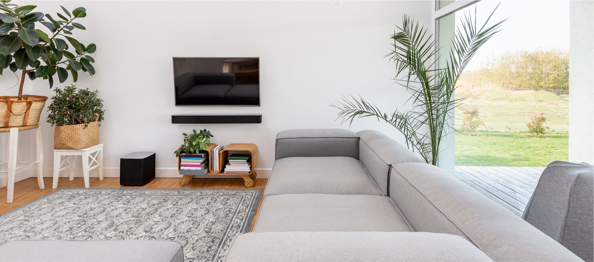 A living room with a couch , rug , television and plants.