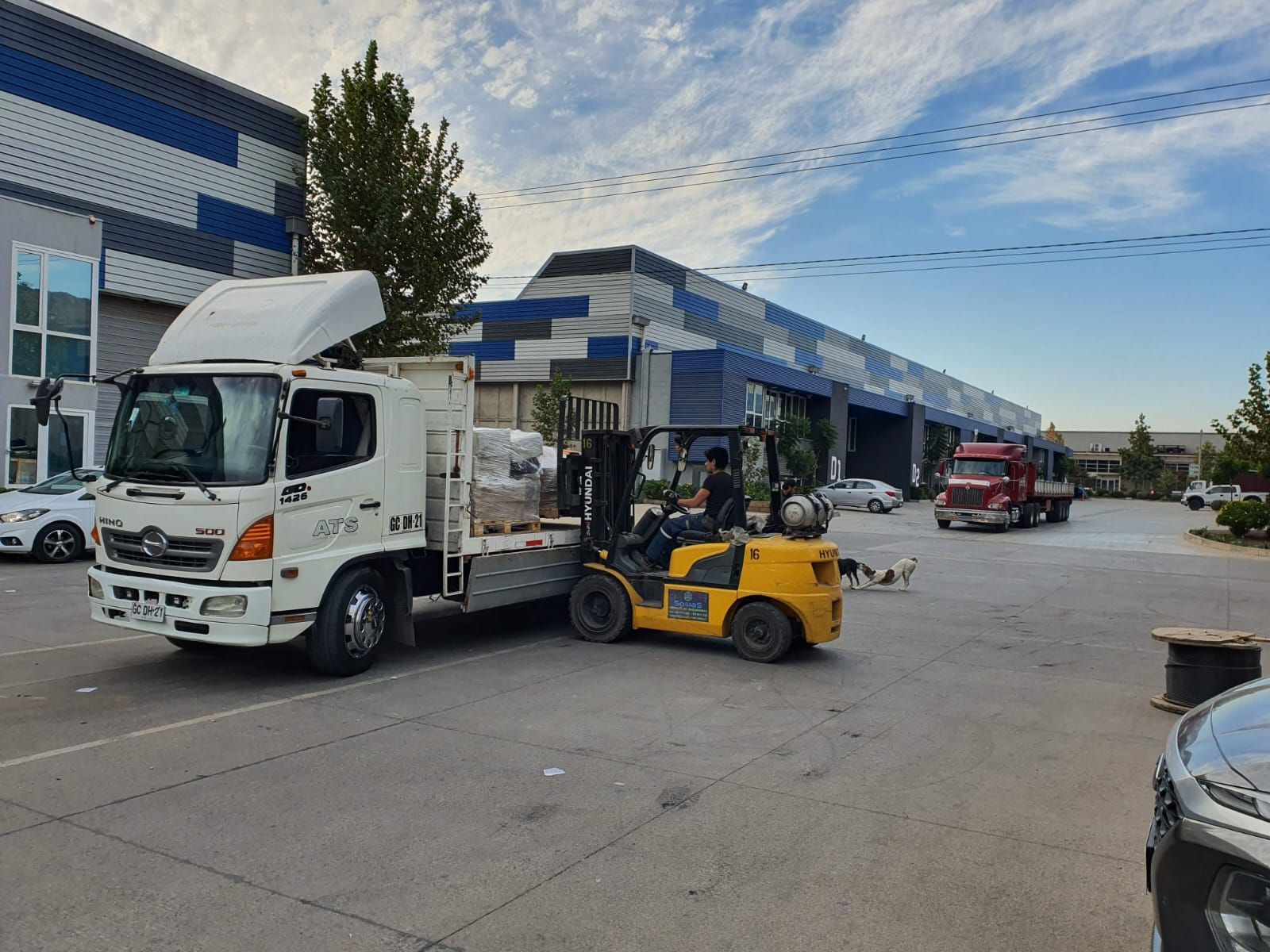 Carretilla elevadora cargando un camión en una nave industrial. Colores azul, amarillo y blanco. Cielo nublado.