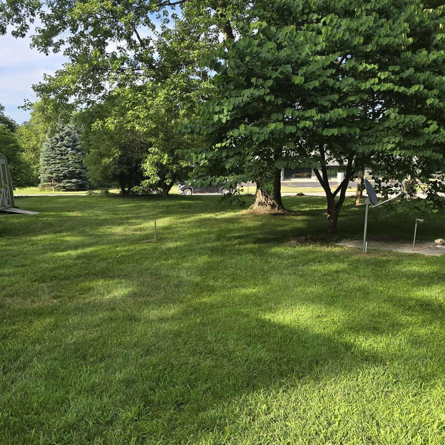 A lush green lawn with trees in the background