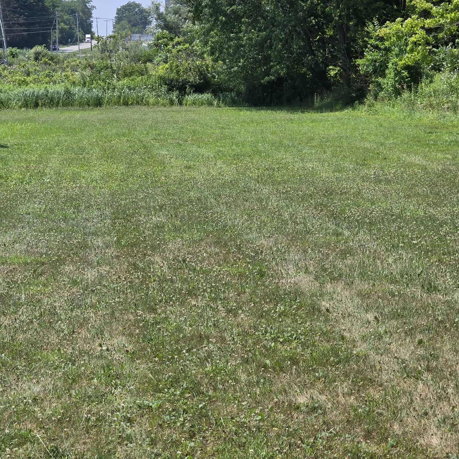 A large lush green field with trees in the background.