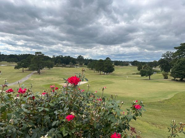 A view of a golf course with red roses in the foreground.