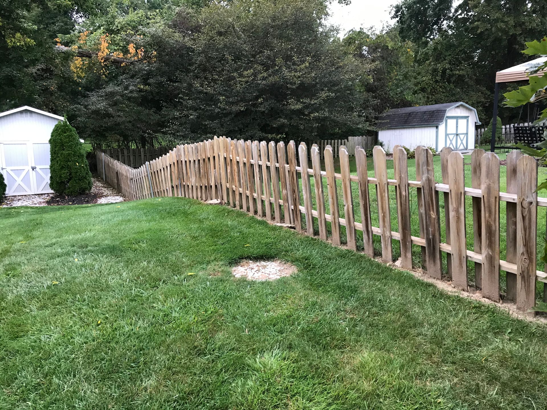 Wooden picket fence in a grassy backyard with two white sheds and lush green trees.