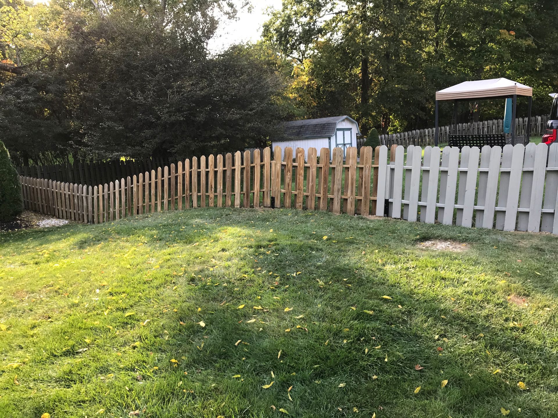Lawn with picket fence, shed, and trees. The fence is wooden. It's a sunny day.