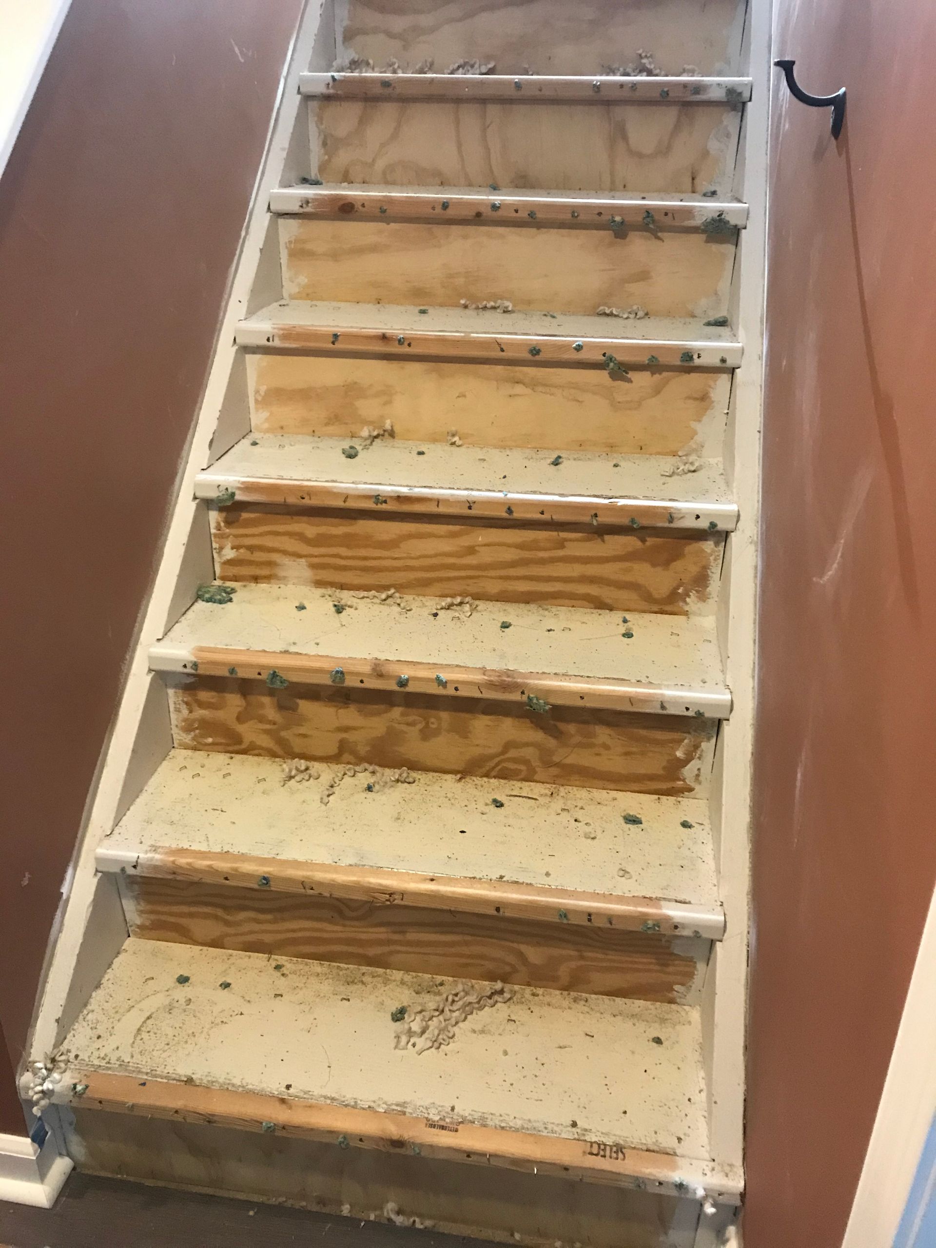Stairs with worn wooden steps and risers, white trim, and a brown wall.