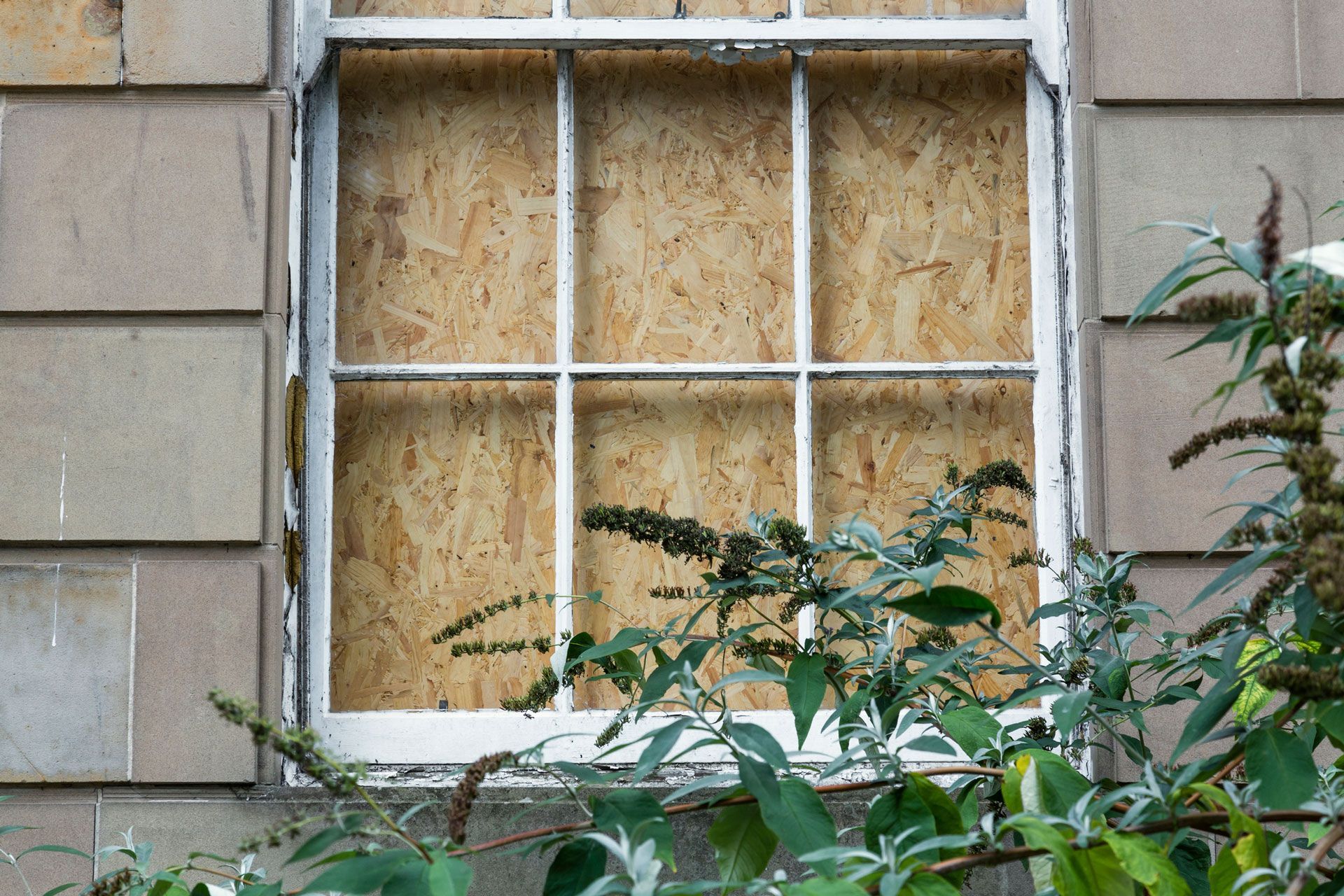 A window that has been boarded up with a plant in front of it