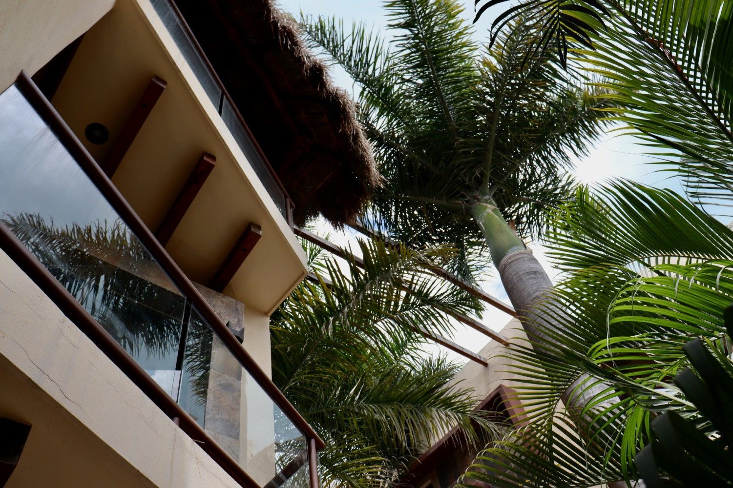 Balcón de apartamento tropical con barandilla de cristal y palmeras contra un cielo brillante.