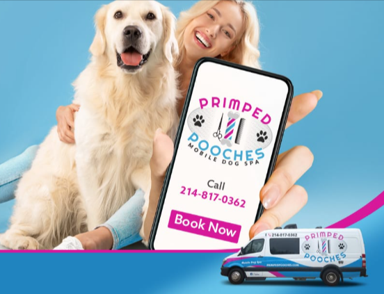 Woman holding phone with Primped Pooches logo, golden retriever, mobile dog spa van, blue background.