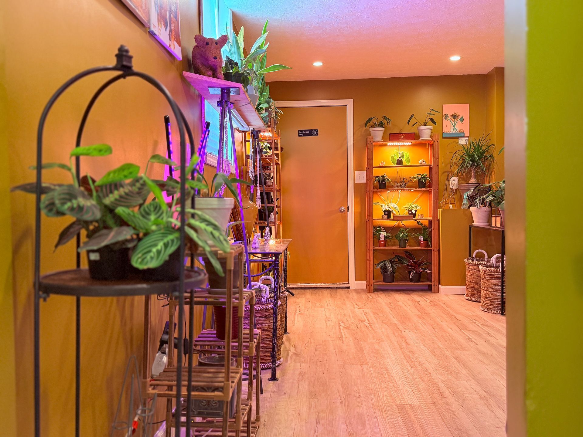 A hallway filled with potted plants and shelves.