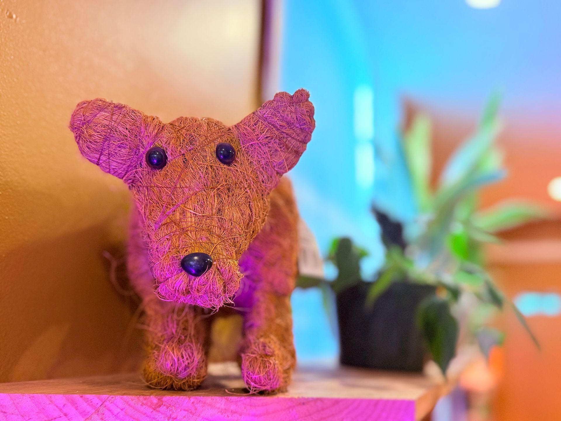 A stuffed dog is sitting on top of a wooden shelf.