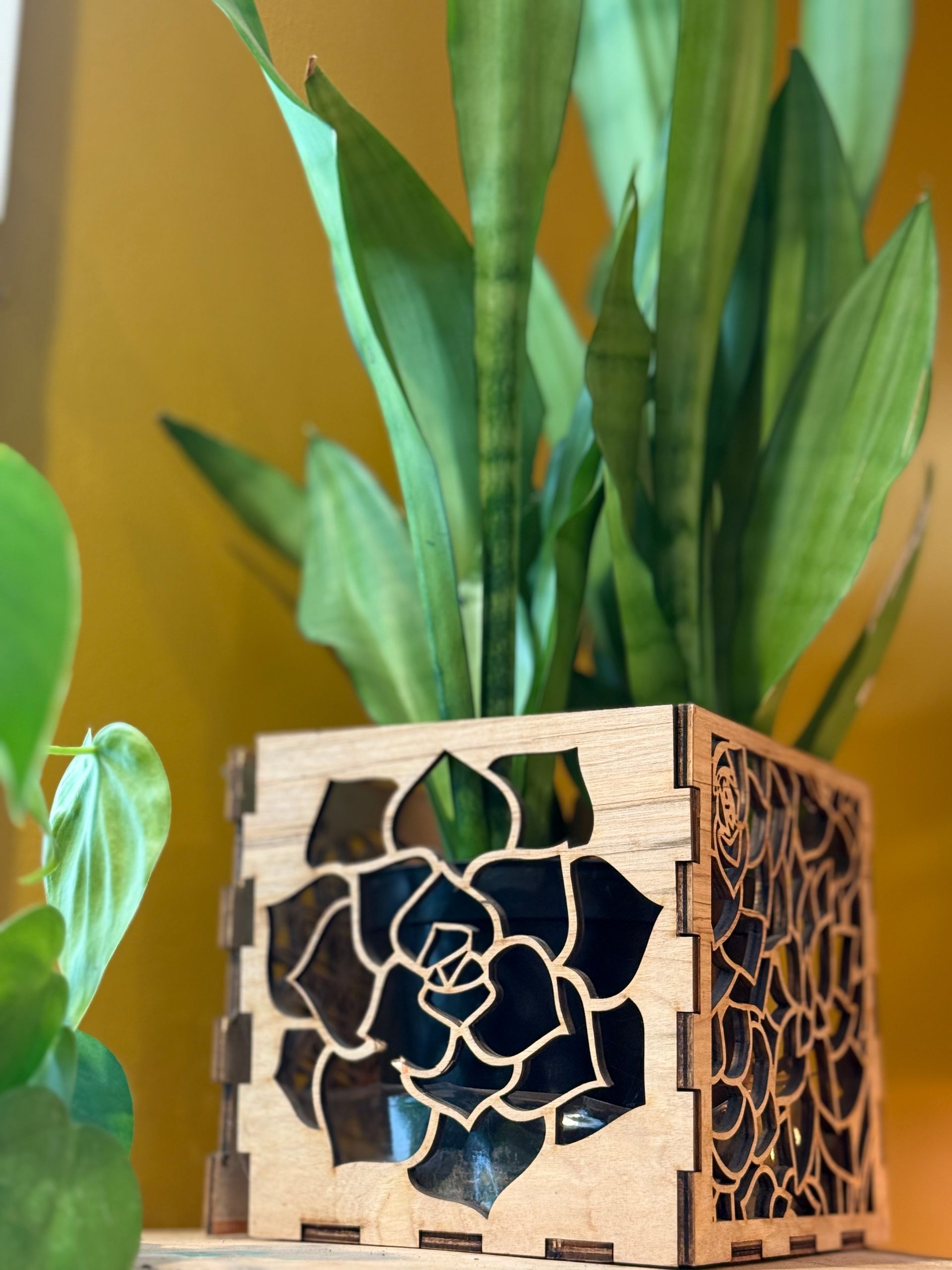 A plant in a wooden pot with a flower cut out of it