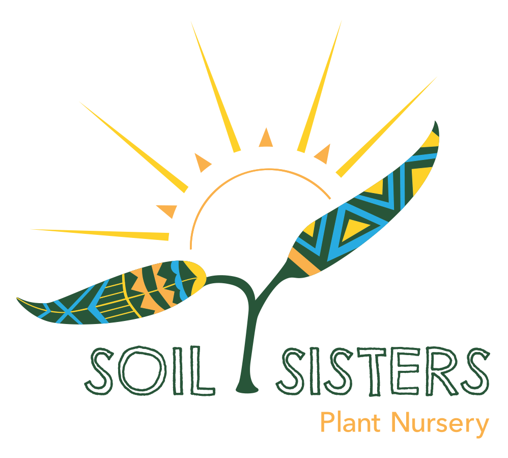 Shop Native Plants | Coast Salish Plant Nursery