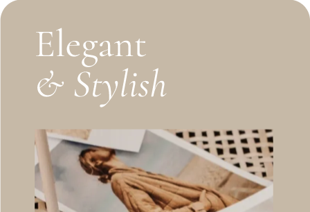website template card that says Elegant & Stylist