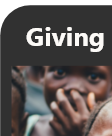 website template card that says giving