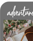 website template card that says adventure