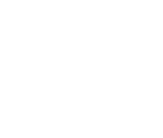 100% satisfaction graph