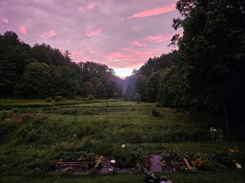 tree service and sustainable land management in Boone NC