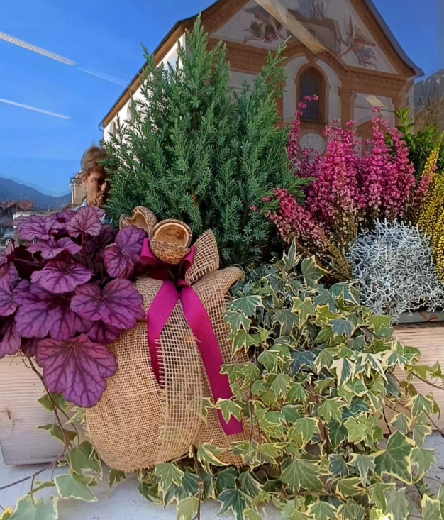 composizioni piante da esterno Brigadoi