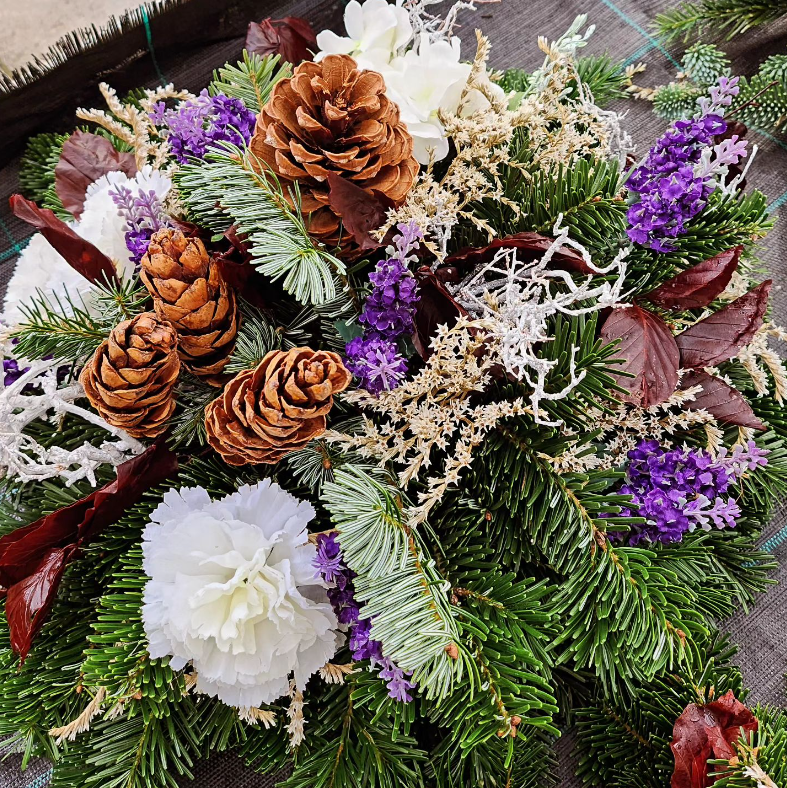 piante autunnali Trento