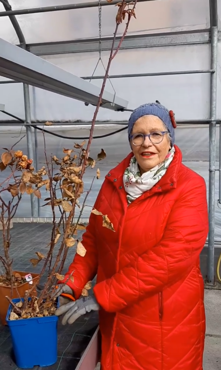 Fondatrice Fioreria Brigadoi Trento