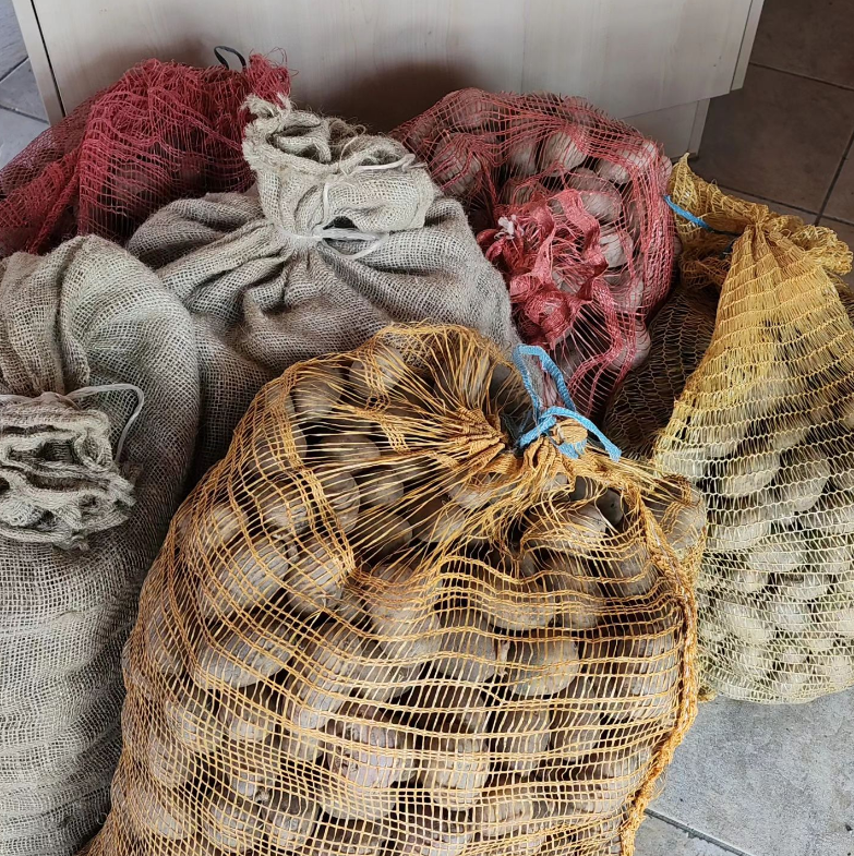 vendita patate da semina