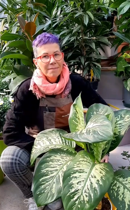 Patrizia Brigadoi Trento