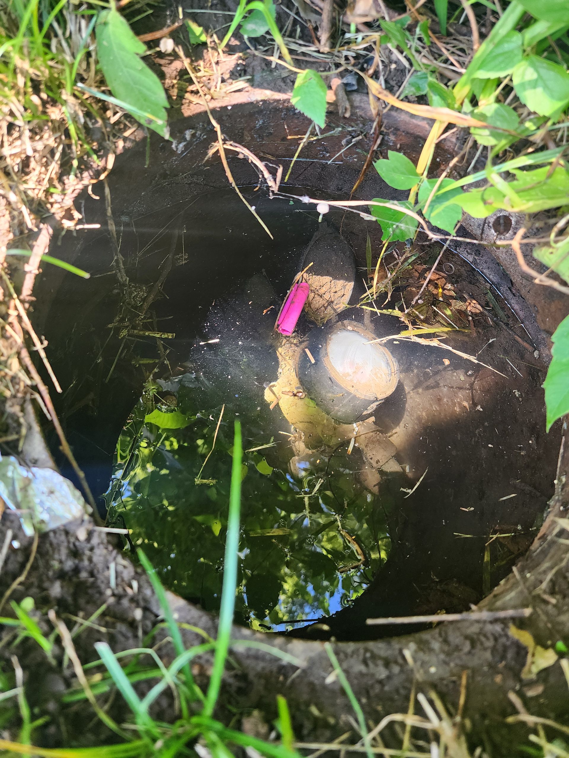 A dark, circular drainage hole in the ground filled with stagnant water, featuring a small pink object and a pipe end.