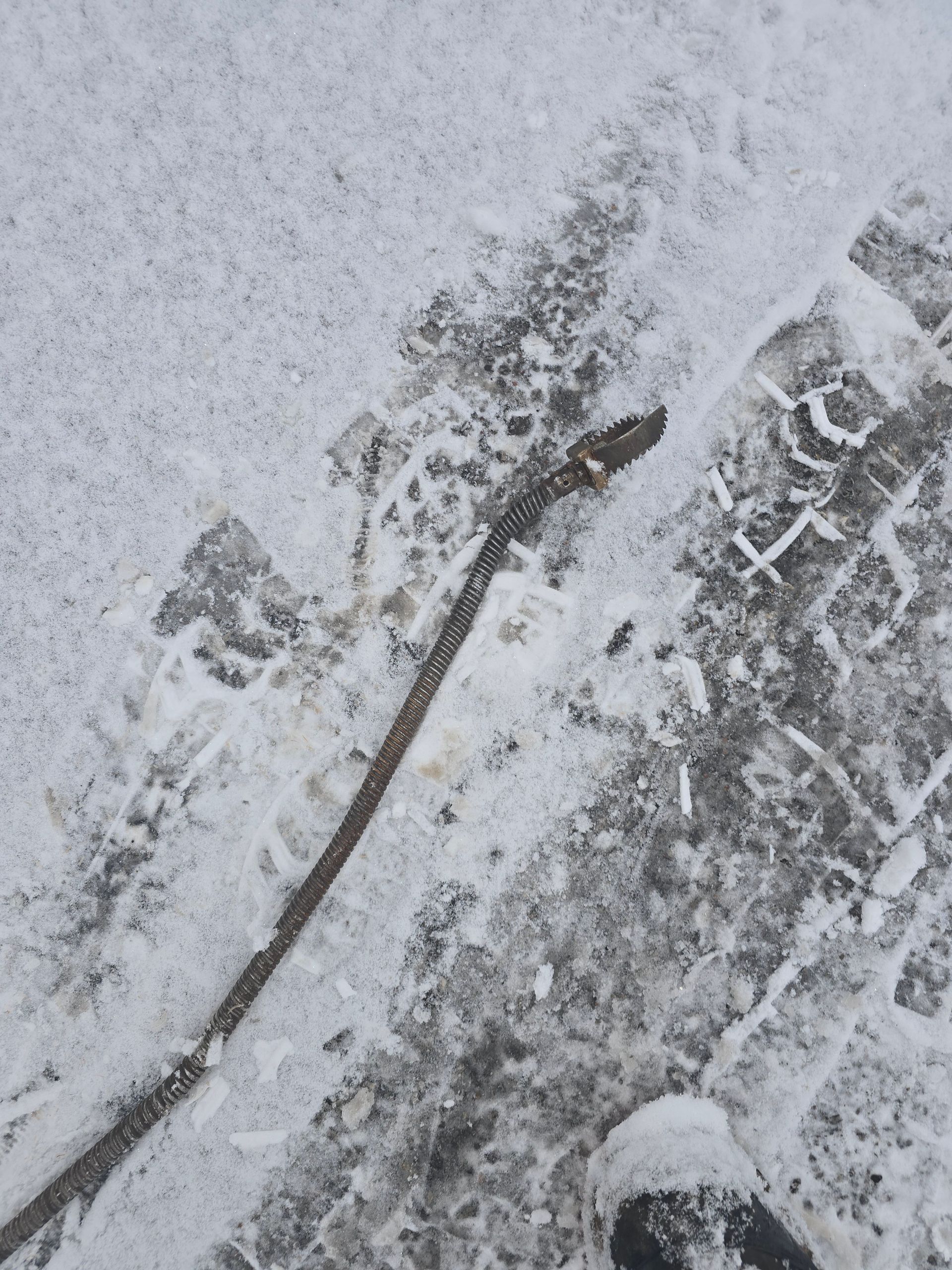A long, thin, dark-colored snake lying on a snow-covered ground with tire tracks visible.