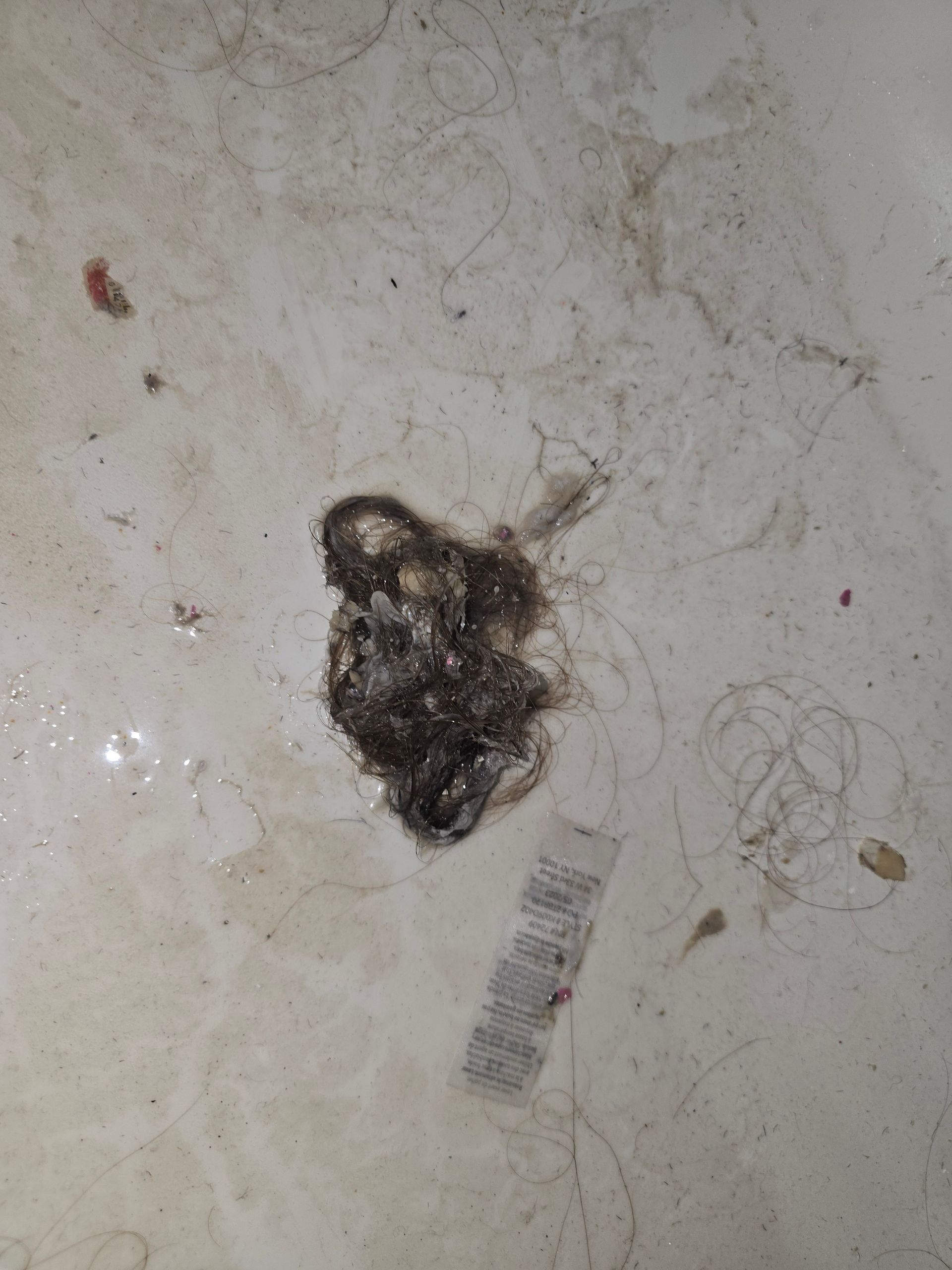 A clump of dark hair and debris resting on a light-colored surface with loose strands nearby.