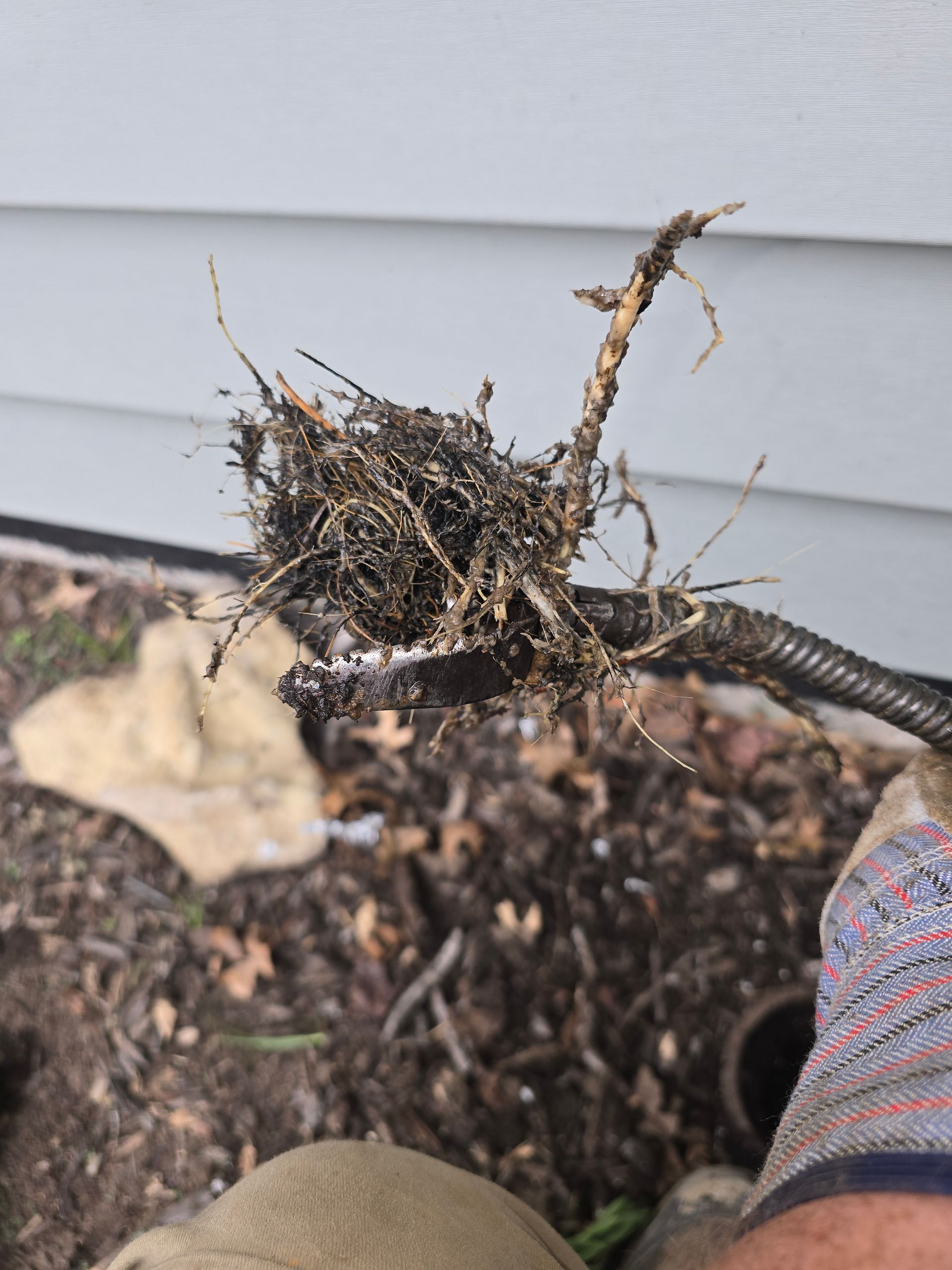 A gloved hand holds a section of corrugated electrical conduit filled with dirt and roots in front of a house exterior.