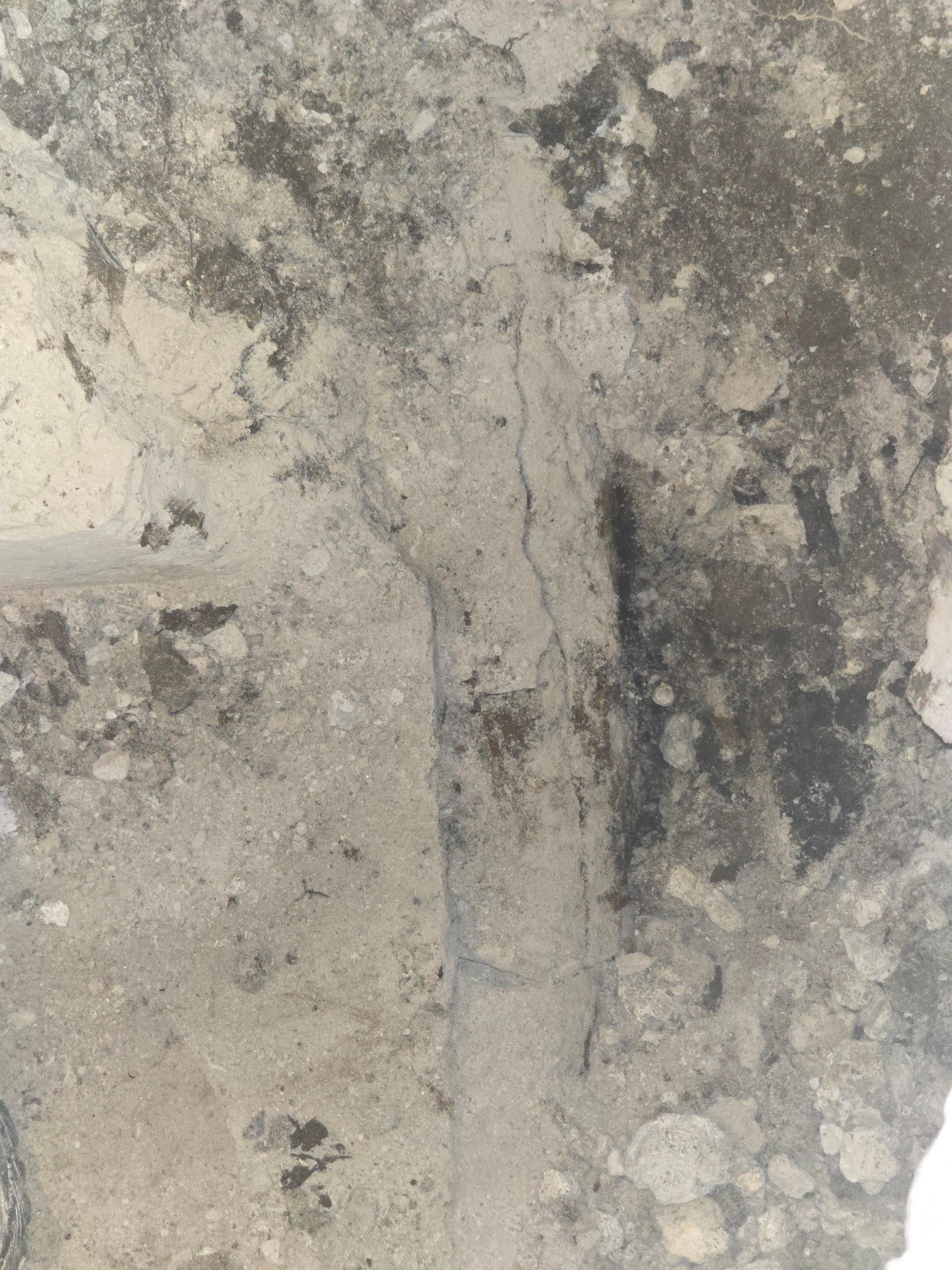 A vertical, light-colored geological rock formation featuring a narrow, darker, textured fracture running through it.