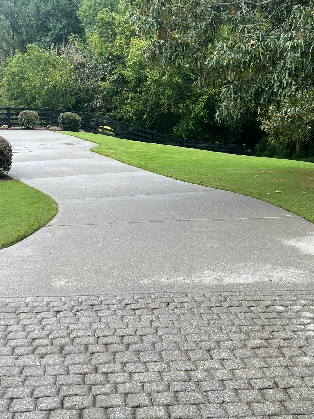 Driveway Pressure Washing