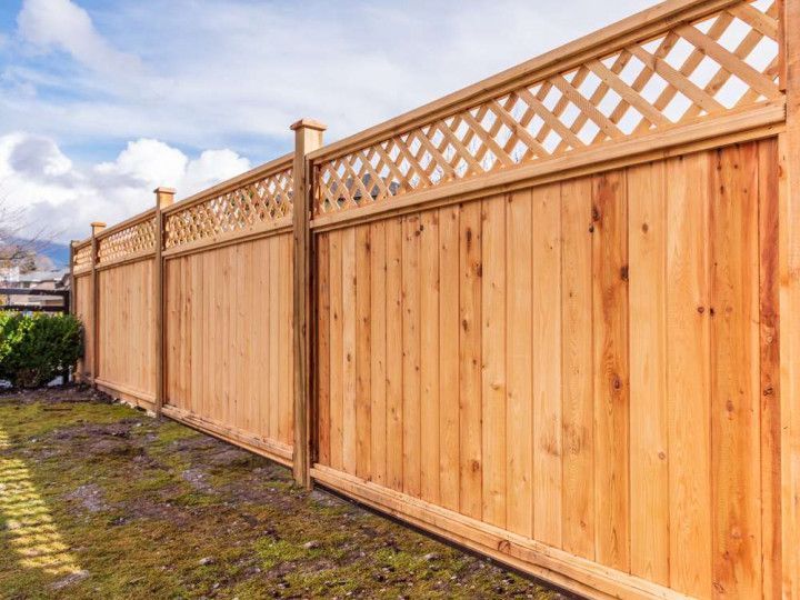 Wood Fence Cleaning