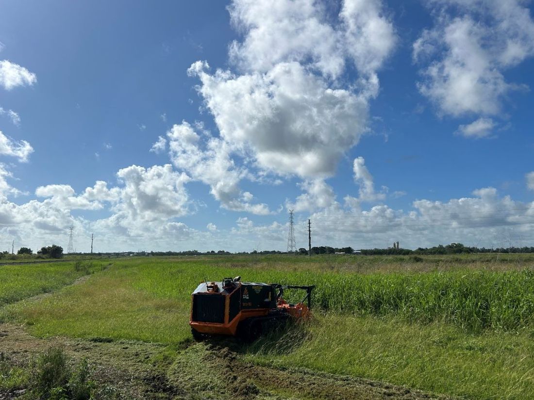A Tractor is Cutting Grass in a Field on a Sunny Day — NQ Steep Terrain Mulching and Clearing in The Leap, QLD